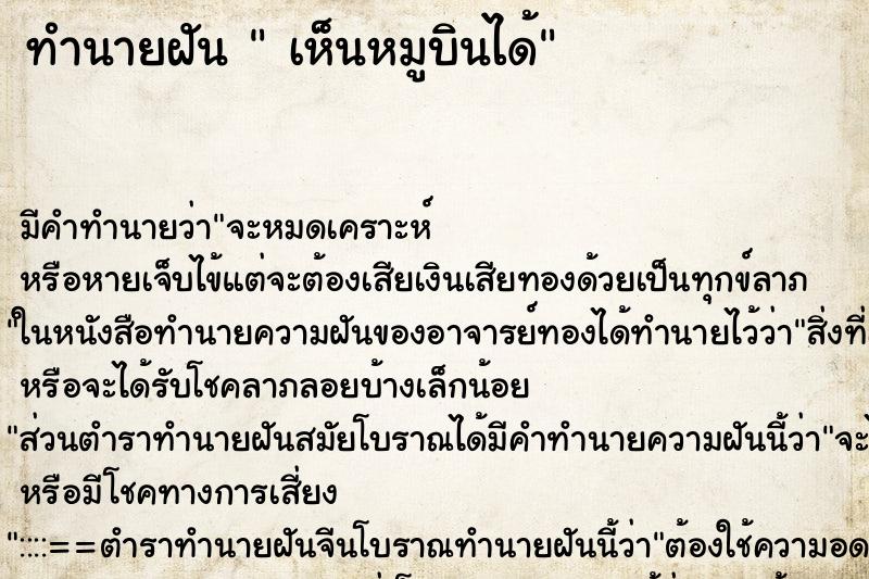 ทำนายฝันเห็นหมูบินได้ ทำนายฝันทำนายฝันเห็นหมูบินได้